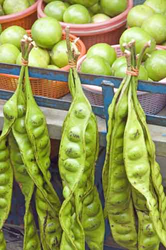 petai vegetable-AsiaPhotoStock