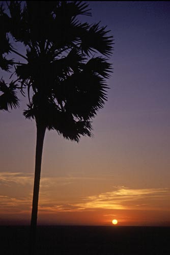 thai sunset-AsiaPhotoStock