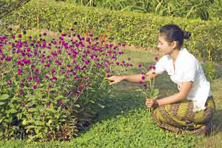 picking flowers-AsiaPhotoStock