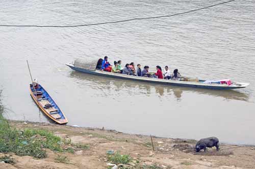 pig ferry-AsiaPhotoStock