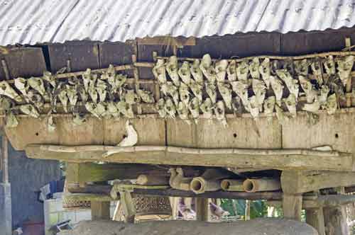 hut with skulls-AsiaPhotoStock