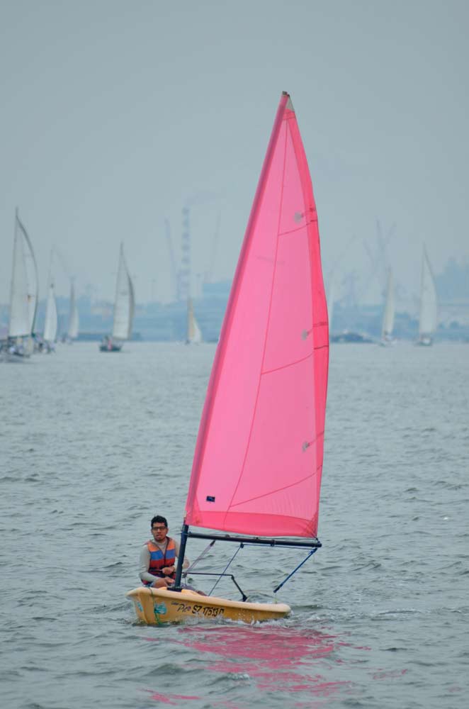 pink sail-AsiaPhotoStock