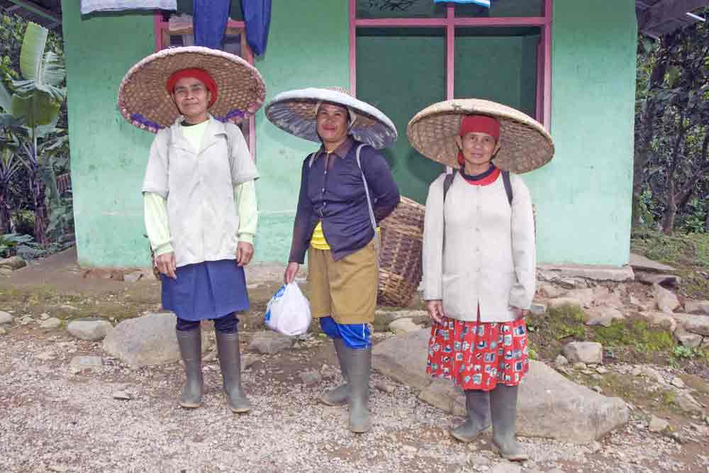 plantation workers-AsiaPhotoStock