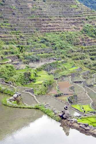 batad lady on terrace-AsiaPhotoStock