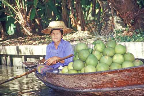 pommelos-AsiaPhotoStock