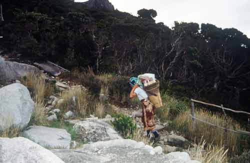 porter kinabalu-AsiaPhotoStock