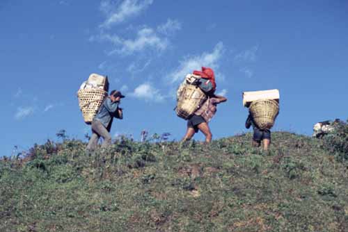 porters-AsiaPhotoStock