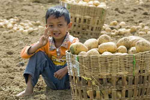 potato boy-AsiaPhotoStock