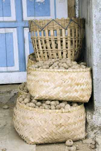 potato stack-AsiaPhotoStock