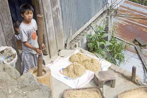 rice pounder-AsiaPhotoStock