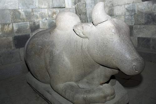 prambanan bull-AsiaPhotoStock