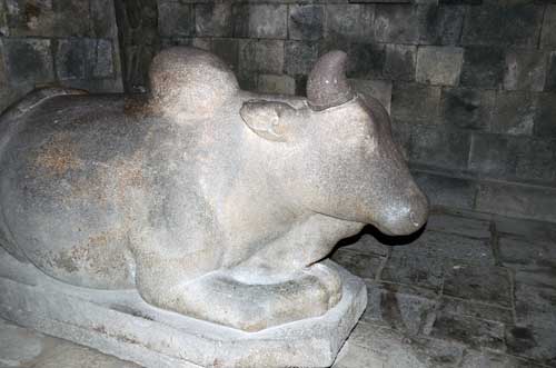 prambanan bull java-AsiaPhotoStock