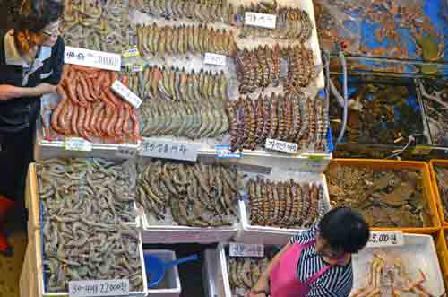 prawns south korea-AsiaPhotoStock