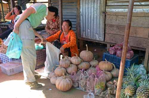 pumpkin-AsiaPhotoStock