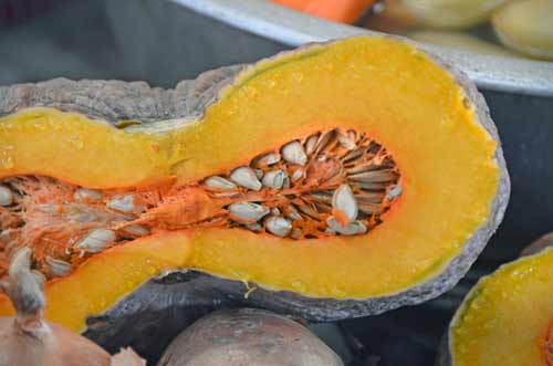 pumpkin cross section-AsiaPhotoStock