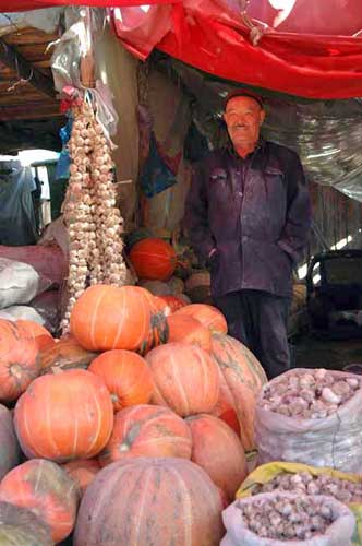 giant pumpkins-AsiaPhotoStock