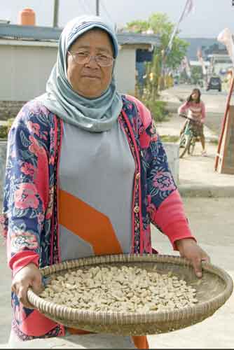 raw peanuts-AsiaPhotoStock