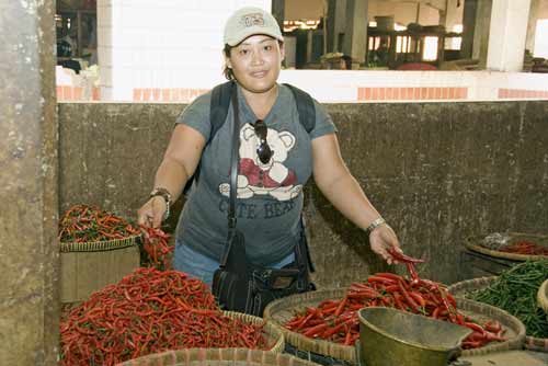 red chillis-AsiaPhotoStock