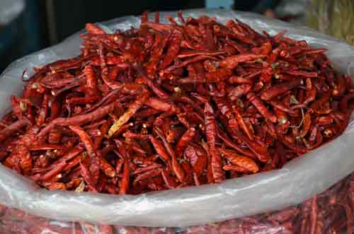 redhot dried chilli phuket-AsiaPhotoStock
