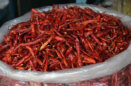 redhot dried chilli phuket-AsiaPhotoStock