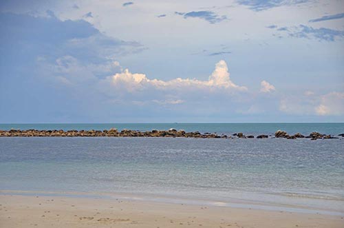 reef samui-AsiaPhotoStock
