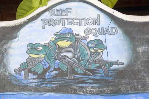 reef protection squad-AsiaPhotoStock