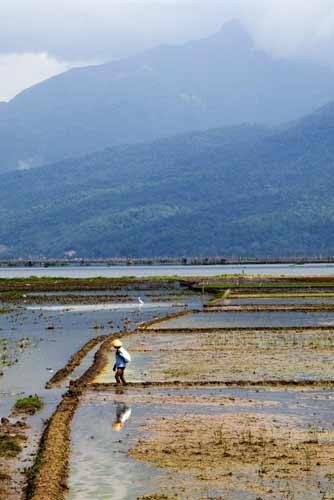 reflection of farmer-AsiaPhotoStock