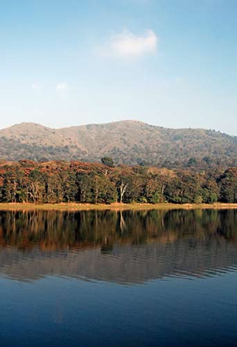 reflection periyar-AsiaPhotoStock