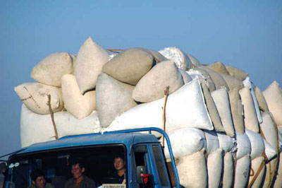 sacks of rice-AsiaPhotoStock
