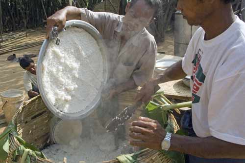 rice-AsiaPhotoStock