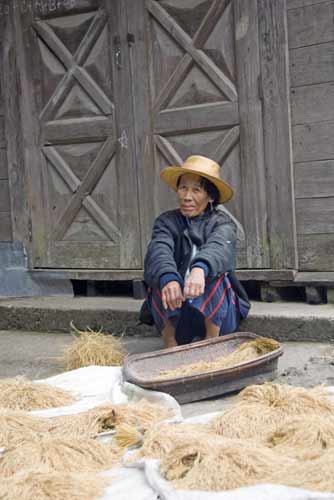 lady with her rice-AsiaPhotoStock