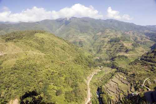 hapao rice fields view-AsiaPhotoStock