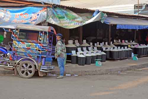 rice graded at market-AsiaPhotoStock