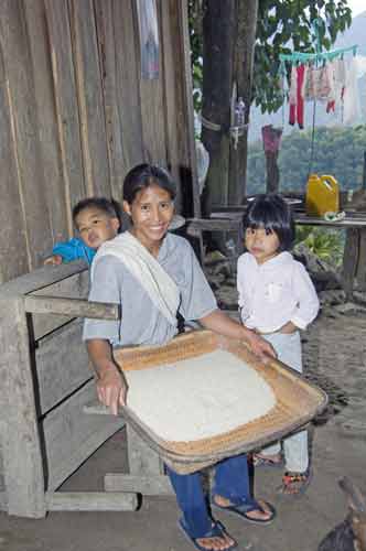 rice sieve-AsiaPhotoStock