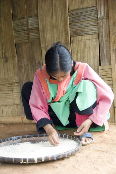 rice sorting-AsiaPhotoStock