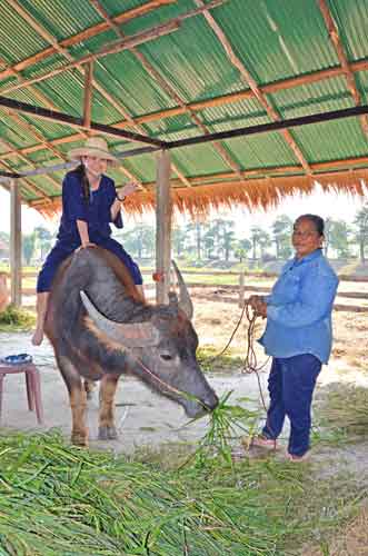 riding buffalo-AsiaPhotoStock