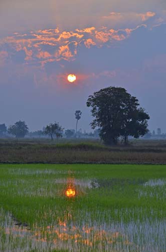 rising sun-AsiaPhotoStock