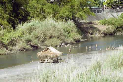 shade at the river-AsiaPhotoStock