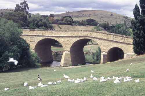 tasmania river bank-AsiaPhotoStock