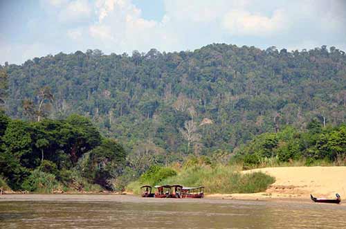 river taman negara-AsiaPhotoStock