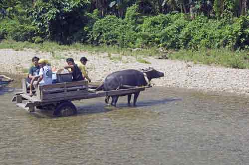 river crossing-AsiaPhotoStock