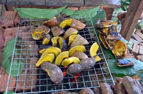 roast pumpkin-AsiaPhotoStock