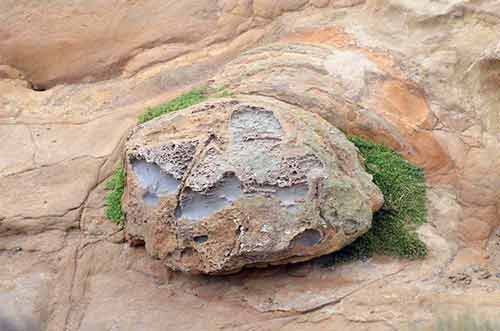 unusual rock shag point-AsiaPhotoStock