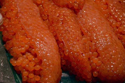 roe of salmon-AsiaPhotoStock