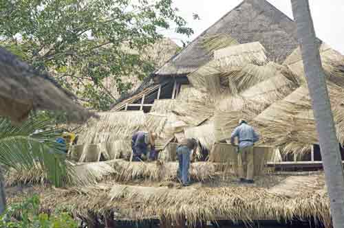 natural roofing-AsiaPhotoStock