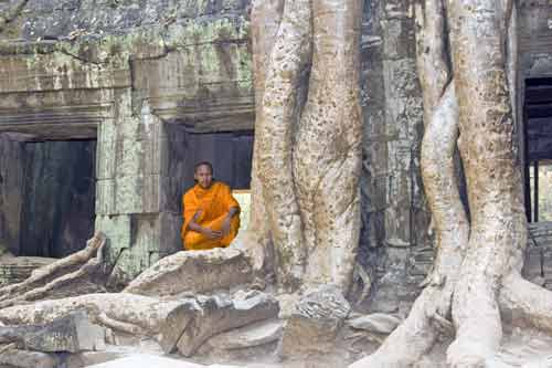 roots at ta prohm-AsiaPhotoStock