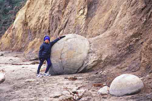 moeraki spheres-AsiaPhotoStock