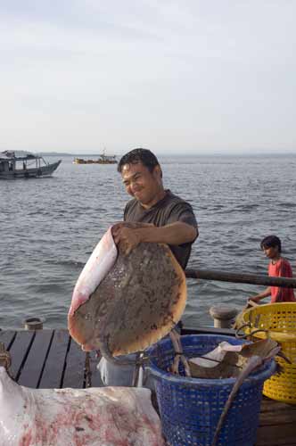 round ray-AsiaPhotoStock