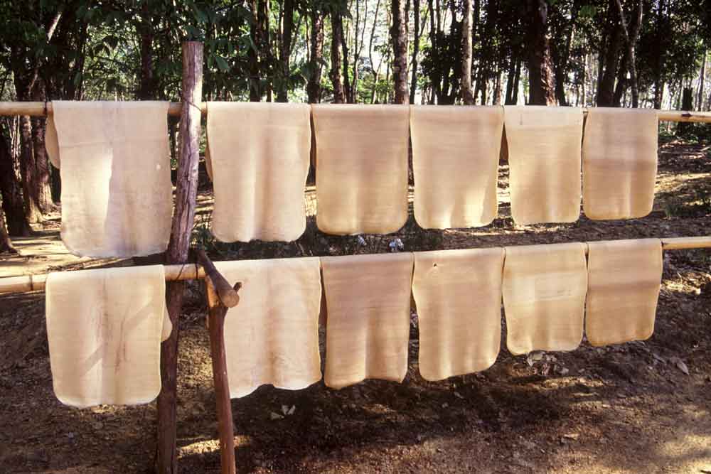 AsiaPhotoStock, rubber drying
