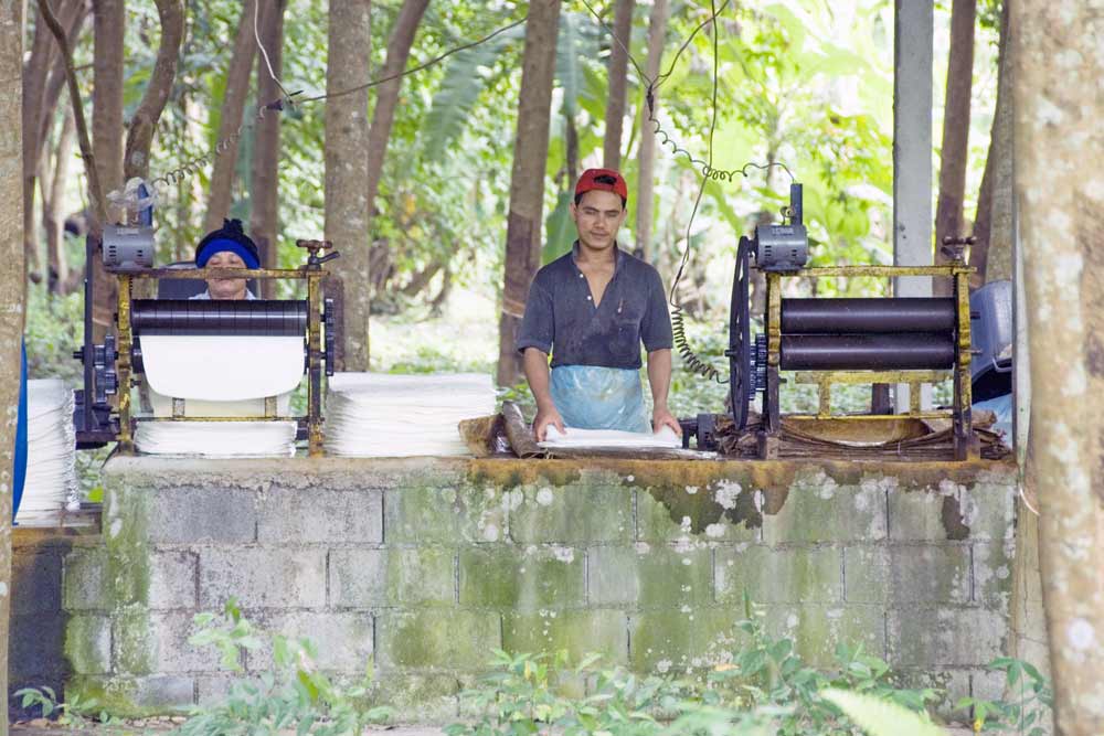 rubber making-AsiaPhotoStock